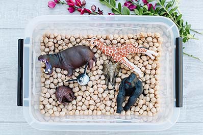 Animal Dig-Out activity