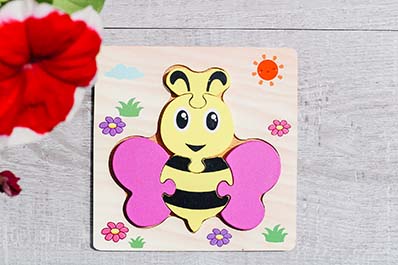 Puzzle Dissection activity