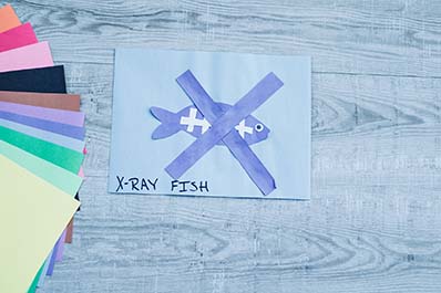 X For X-ray Fish