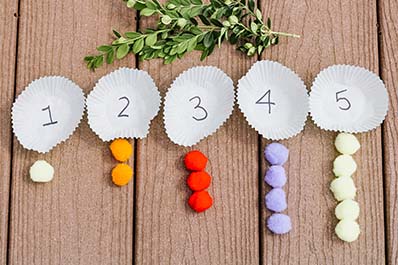 Counting pom poms activity